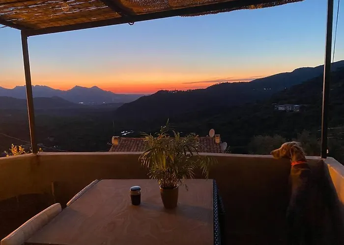 Maison De Caractère, Zilia, Au Pied Du Montegrossu * Zilia