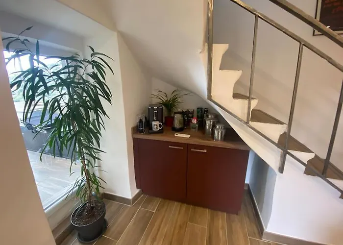 Hébergement de vacances Maison De Caractère, Zilia, Au Pied Du Montegrossu Zilia